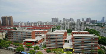 徐汇区有什么学校-上海徐汇区有哪些优质国际学校