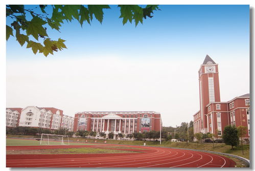 重庆市永川国际枫叶学院-重庆枫叶国际学校2020