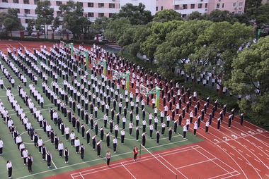 上海西南位育高中学费多少-上海西南位育中学国际部2021年学费、收费多少