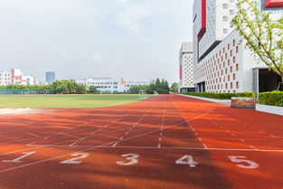 鼎石国际学校升学率-参考丨国际学校没排名