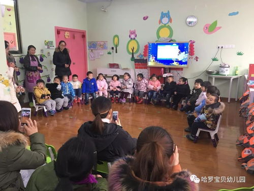 哈罗幼儿园学费-北京哈罗学校一年学费需要多少