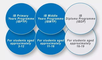ib教育的四大-IB课程的四大超强优势你必须了解