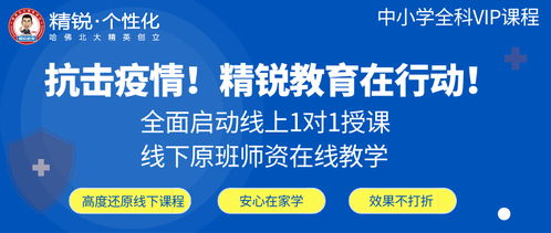 北京ap课程培训哪家好-ap培训哪家好一对一授课