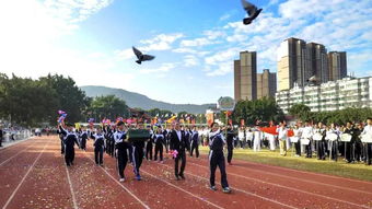 哪个国家 国际学校 性价比高-北京口碑好性价比高的国际学校原来在这