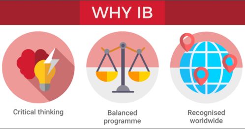 IB课程有哪些不好-IB课程有哪些优点和缺点