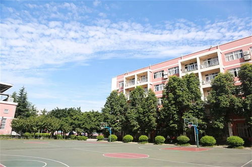 成都好的国际学校-成都国际学校大盘点