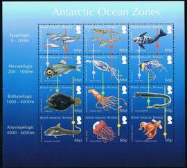 讲深海动物的雅思基础题-雅思阅读话题总结