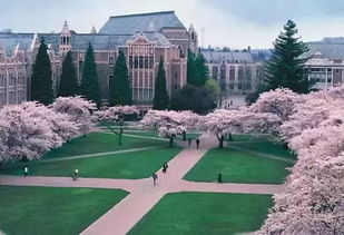 美国华盛顿大学是公立还是私立-三所“华盛顿大学”