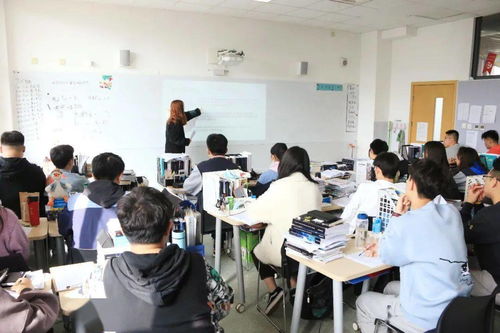 初三入国际学校好还是高一-小学、初中、高中