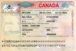 美国签证可以去欧洲吗-申请美国签证