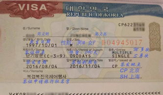 赴美旅游签证需要什么资料-申请美国签证