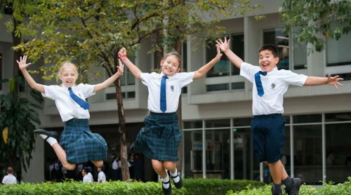 shrewsbury 国际学校-2018香港国际学校最新排名这“森林学校”是怎么一回事儿