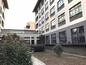 杭州常春藤国际学校地址-北京常春藤国际学校学校介绍