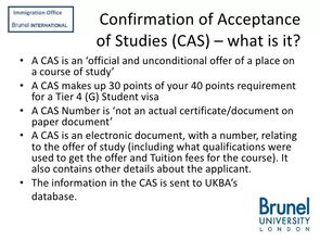 cas电子录取通知书-浅析大学电子录取书CAS