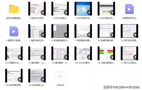 生物信息学与生物医学哪个好-申请生物信息学生