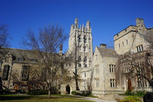 耶鲁大学vs美国西北大学-美国大学第三方面试、耶鲁大学、西北大学、明尼苏达大学音