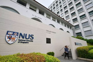 2021新加坡国立新生群-求IC商学院2021新生群