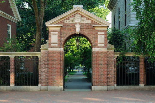 密歇根大学和清华大学哪个好-康奈尔大学和密歇根大学安娜堡分校哪个好