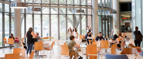 2019美国杜兰大学商学院排名-2019年QS世界大学排名杜兰大学排名第412