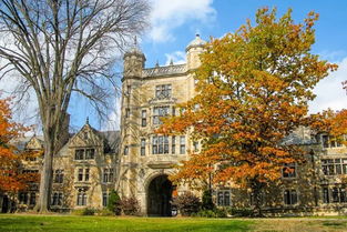 基尔大学世界排名泰晤士-2021泰晤士高等教育世界大学排名