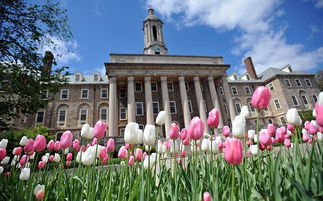 宾夕法尼亚州立大学帕克校区排名-宾夕法尼亚州立大学排名第59(2019年USNEWS美国