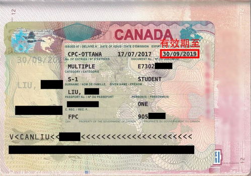 父母在国外陪读办什么签证-孩子在美国读书父母可以申请陪读签证吗