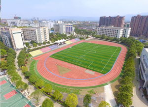 雅礼中学国际部高三-雅礼中学国际部