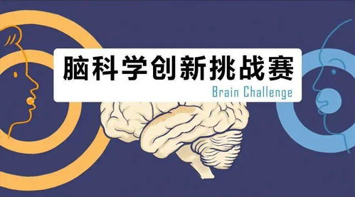 brainbee是可选中文的吧-10个参加BRAINBEE脑科学大赛必须了解的小问题