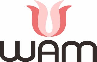 wustl wam-对于WUSTLWAM新track的一点小想法