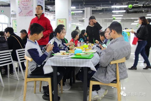 高一下学期能转国际学校么-如果选择国际学校