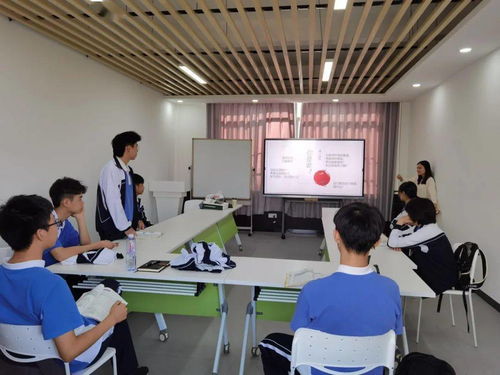 南外国际班课程-南京外国语国际高中班课程设置的详细介绍