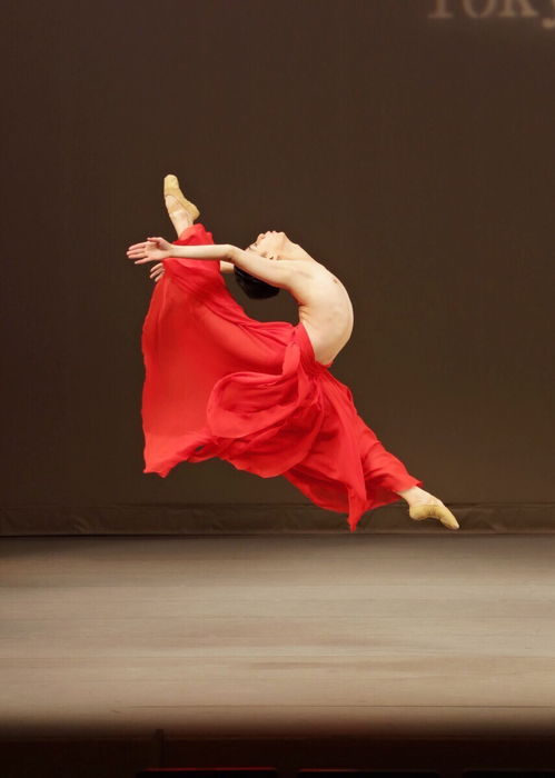 国外芭蕾舞研究生-舞蹈专业研究生专业解析