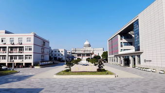 南京雨花台中学国际高中部-南京雨花台中学国际部