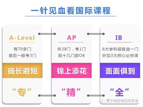 五大课程体系指的是什么-国际高中五大课程体系都有哪些