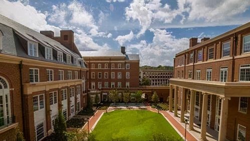 北佐治亚大学世界排名-佐治亚大学全美排名第几