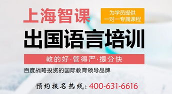 上海国际高中备考班课-国际高中备考冲刺班