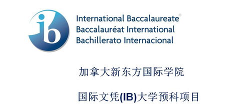 国际学校和ib课程项目-ib国际学校一览表