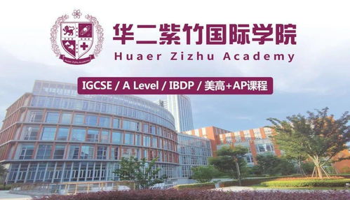 华二紫竹AP-2020年上海华二紫竹国际高中招生流程