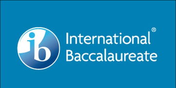 国际学校的IB数学课程-国际学校课程指南