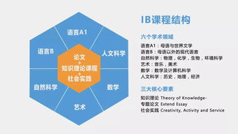 IB课程中实践活动-学姐揭秘趣味IB生活