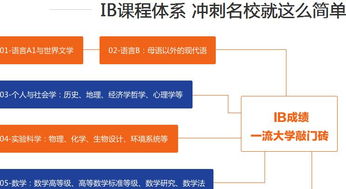 上海ib课程的国际高中-上海IB课程国际学校一览表