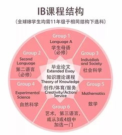 世界课程和IB课程的区别-ap和ib课程的区别