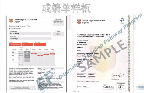 小托福和ket区别-出国留学语言考试科普