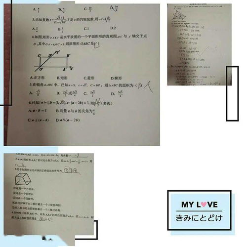 普特南数学竞赛第一名-世界上最难的数学竞赛