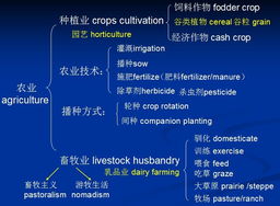 新托福tpo真题全解析-托福TPO听力54原文+题目+答案解析+PDF下载