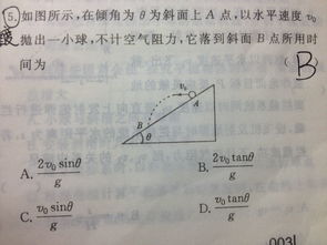 AP考试大题能用铅笔答吗-参加AP考试必须注意的事情