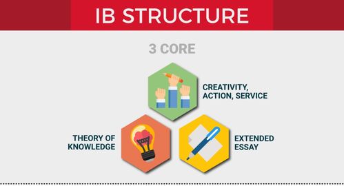 ib里的科学课程-IBMYP科学到底如何学