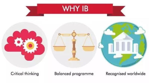 读ib课程的优劣-IB课程有哪些优势