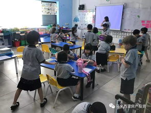 学校高中部提供了IB课程-IB国际学校高中常规课程介绍