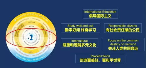 ib培养目标的反思-IB课程对学生的培养目标